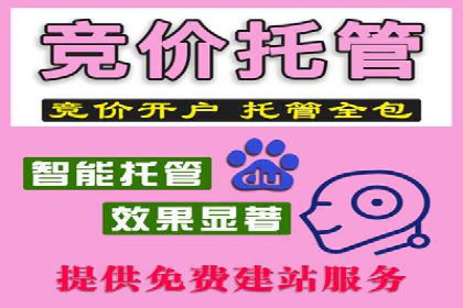 SEM代运营公司案例：助力企业实现增长